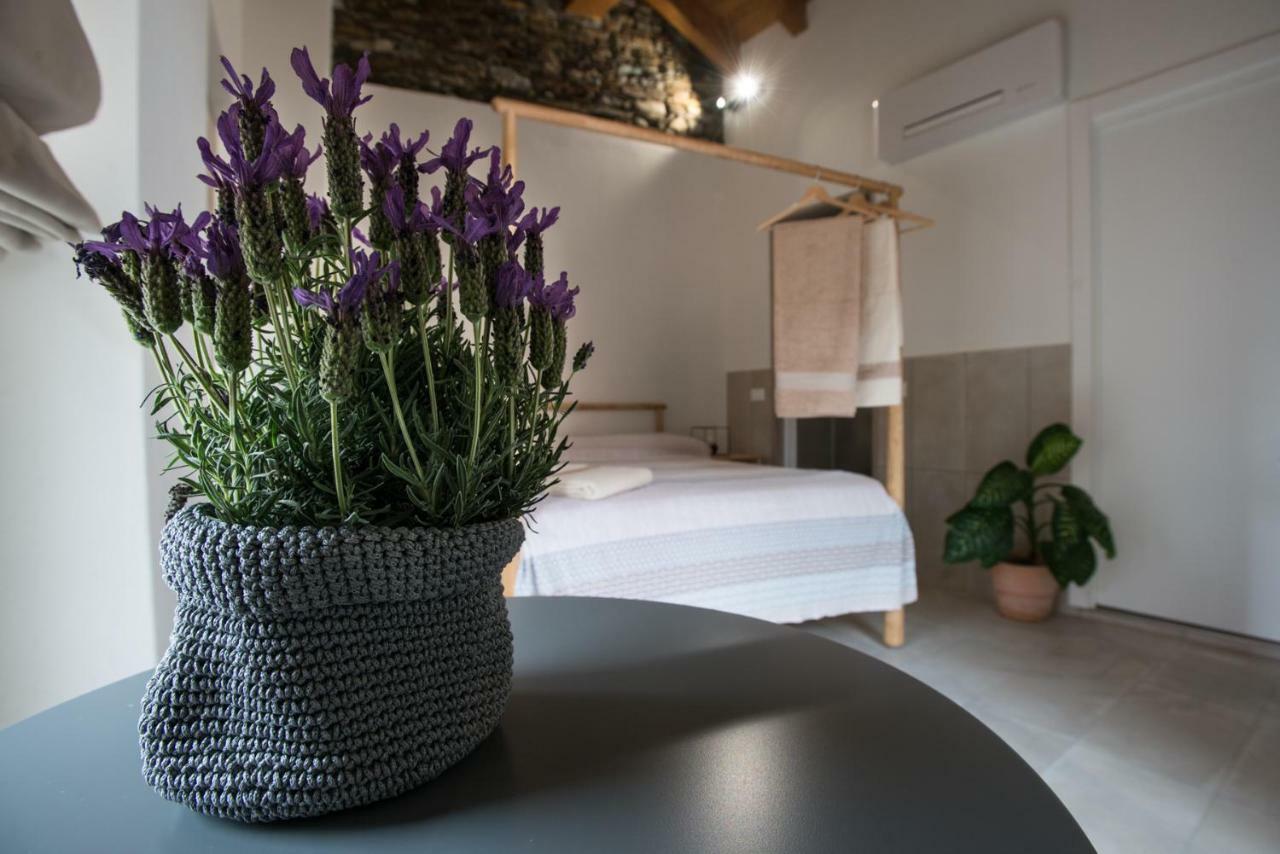 Guest House Seme Di Faggio Miasino Экстерьер фото